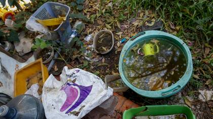 La basura se acumula en el fondo de una de las viviendas