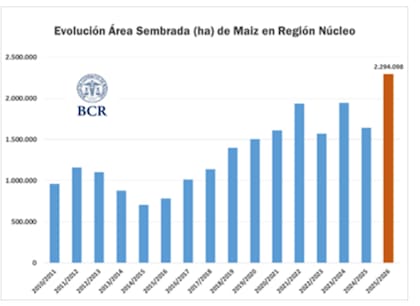 La BCR dijo que el área implantada de maíz es de 2,29 M ha