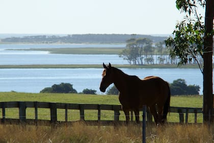 La belleza del paisaje uruguayo se filtra en la última novela de White