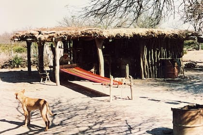 La belleza y presencia de uno de los telares típicos del monte santiagueño.