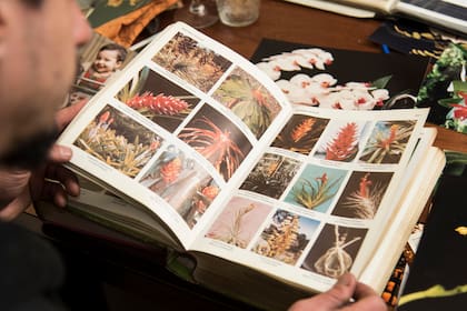 La biblioteca está repleta de artículos y libros para aprender de botánica