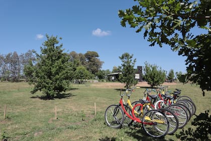 .La bicilceta es el medio de transporte más elegido por quienes viven en estos proyectos