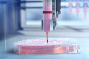 Cómo la impresión 3D de órganos se está transformando en el futuro de los trasplantes