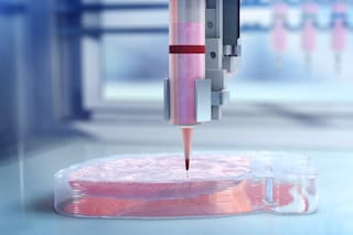 Cómo la impresión 3D de órganos se está transformando en el futuro de los trasplantes