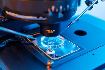 La biotecnología, entre los sectores que serán beneficiados