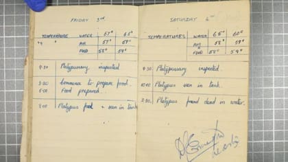 La bitácora muestra que, aunque las temperaturas bajaron a medida que Winston se acercaba a Inglaterra, el alivio llegó demasiado tarde para salvarlo.