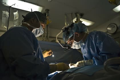 La BLS confirmó que el rubro de la salud es el mejor pago a día de hoy en EE.UU.