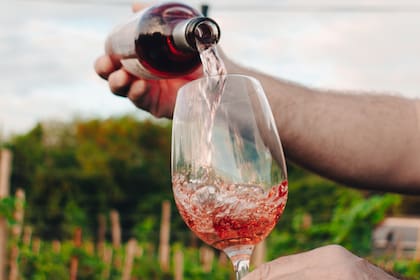 La bodega anuncia en sus redes sociales las fechas de las visitas