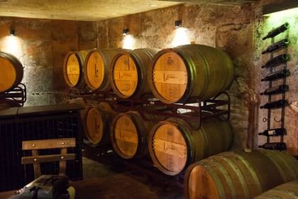La bodega boutique El Legado hoy produce 15.000 botellas anuales y sumó varietales como syrah, tannat, marselan y viognier.