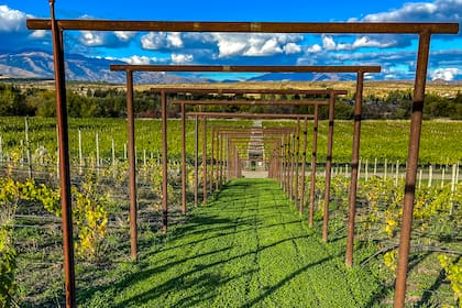 La Bodega Contra Corriente, de Rance Rathie y Travis Smith, dos reconocidos guías de pesca oriundos de Montana, Estados Unidos