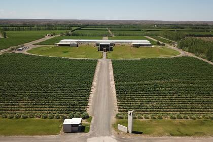 La bodega en sí es una obra de arte arquitectónica integrada al paisaje de bardas y mesetas con su estética apaisada. Posee instalaciones de última tecnología y un restaurant en el que se pueden degustar platos elaborados con ingredientes de la región. El complejo tiene una superficie de 5800 m², co