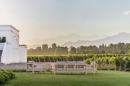 La bodega en un entorno de naturaleza.