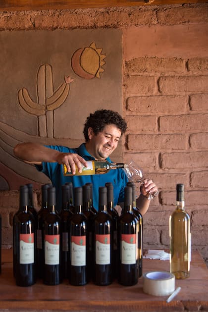 La bodega produce ocho mil litros de Malbec, Sirah, Cabernet y Torrontés. Son todos orgánicos, sin conservantes ni químicos.