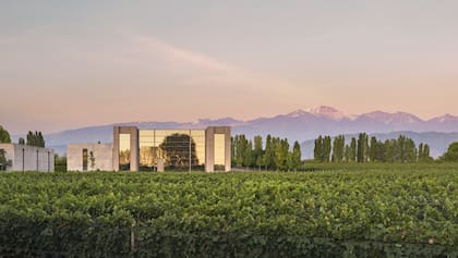 La bodega Viña Cobos, en Luján de Cuyo, Mendoza