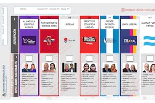 La cara de Espert seguiría al frente de la lista de LLA si la Junta Electoral bonaerense no habilita una reimpresión