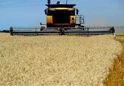 La Bolsa de Cereales porteña advirtió que fertilizantes como la urea aumentaron más de 70% interanual y que el gasoil subió más de 43%, deteriorando la relación insumo-producto para el productor