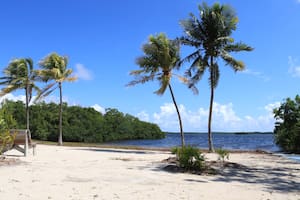 El raro artefacto que desapareció en Florida y fue hallado meses después a casi 7000 kilómetros de distancia