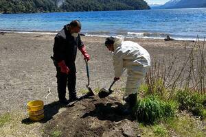 Cerraron el acceso a lagos de Villa La Angostura por la proliferación de ratones