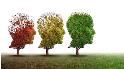 La buena salud del cerebro no sólo depende de nuestra edad cronológica