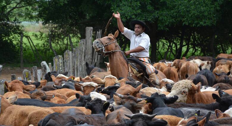 Cabalgata