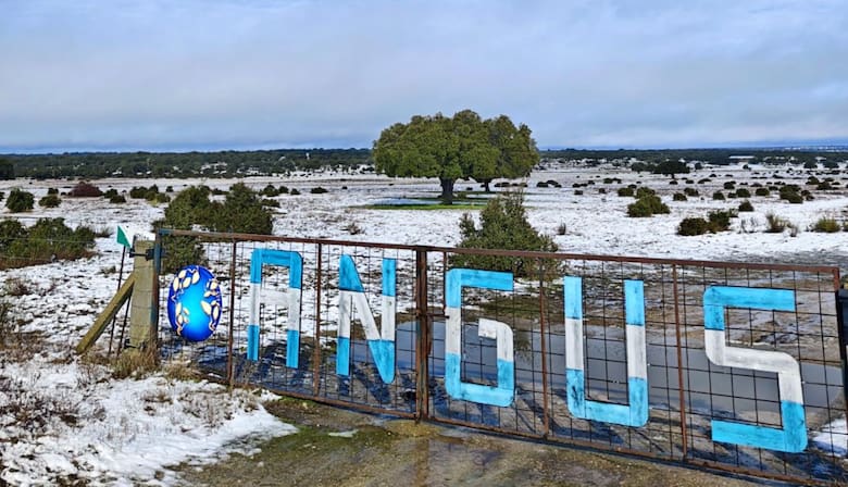 Un argentino instaló la primera cabaña ganadera nacional en Europa y exporta genética a más de diez países