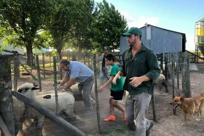 La cabaña ovina Unelen produce 400 animales por año