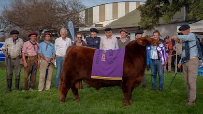 La cabaña recibió diversos premios