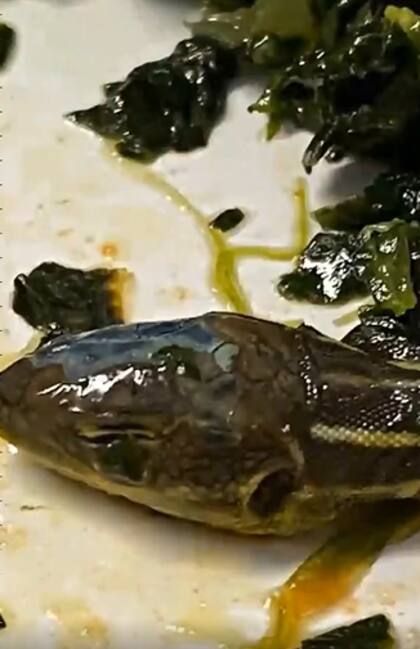 La cabeza de la serpiente estaba en un plato de ensalada (Crédito: Captura de video/Twitter/@aviationbrk)