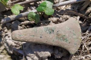 La cabeza de un hacha de 5.000 años de antigüedad encontrada en Matcze, Polonia