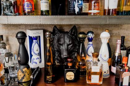 La cabeza de un lobo forma parte de la decoración, entre las botellas de licor