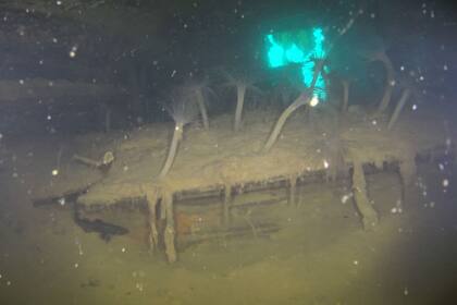 La cabina del capitán