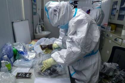 La vacuna es la única solución definitiva, según los científicos