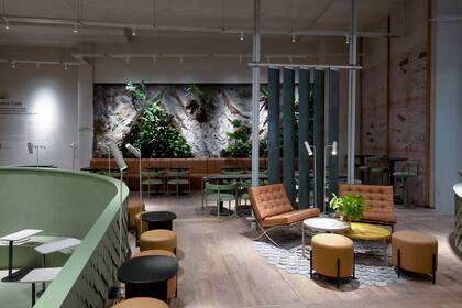 La cafeteria creada por Osten