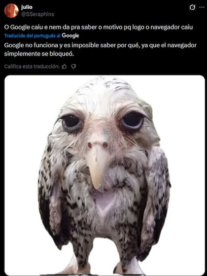La caída de Google en Sudamérica también afectó a Brasil y esto se evidenció con los memes