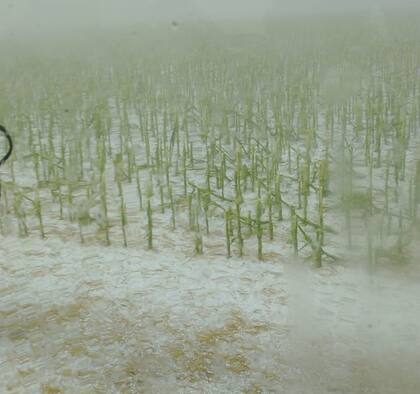 La caída de granizo se prolongó durante varios minutos