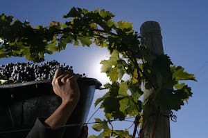 La tormenta perfecta que amenaza a la industria del vino