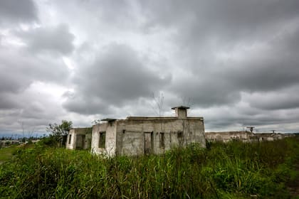 La hierba absorbe las casas sin terminar en un barrio de la Tupac