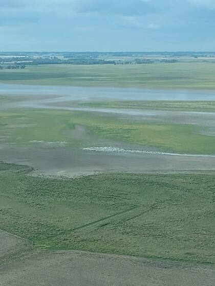 La caída en el régimen de precipitaciones afectó a las lagunas en la zona de Bragado