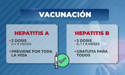 La calendarización del plan de vacunación contra la hepatitis