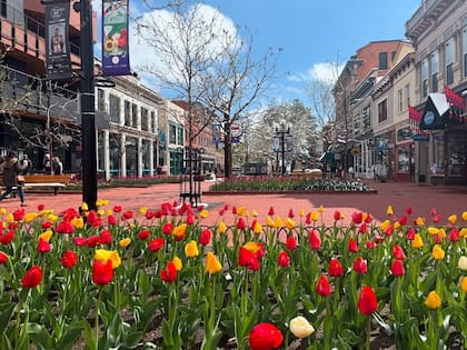 La calle Pearl de Boulder tiene cuatro cuadras con gastronomía, boutiques y cafeterías (Instagram/@beers_and_hikes)