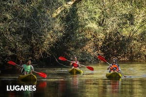 El salto donde se bañó la Coca Sarli  y los circuitos menos conocidos de Iguazú