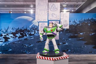 Favorecen la importación de un bien y los fabricantes locales lo aceptan