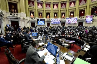Diputados aprobó el proyecto para posponer las elecciones primarias y generales