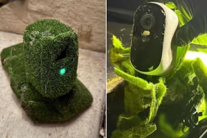 La cámara estaba escondida entre los arbustos con una malla y césped artificial