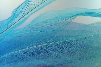 La cámara triple de 48 MP del Xiaomi Redmi Note 5G también permite obtener fotos con lente macro