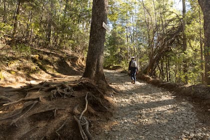 La caminata al Cajón es uno de los principales atractivos turísticos de la zona.