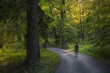 La práctica que mejora la salud, fortalece el cerebro y calma la ansiedad