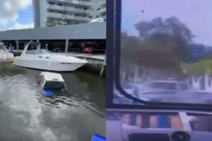 La camioneta chocó contra un árbol, el muelle y después cayó al agua