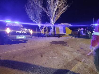 La camioneta estampada contra el árbol