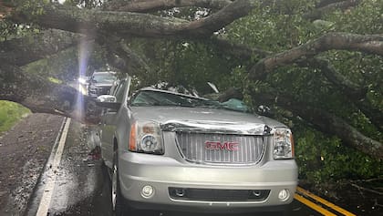 La camioneta quedó aplastada por la rama de un árbol de roble junto a su conductor en el interior, quien solo pudo salir gracias a la ayuda de una mujer mexicana
